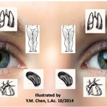 face with drawings of organs placed over it Chinese Ocular Medicine