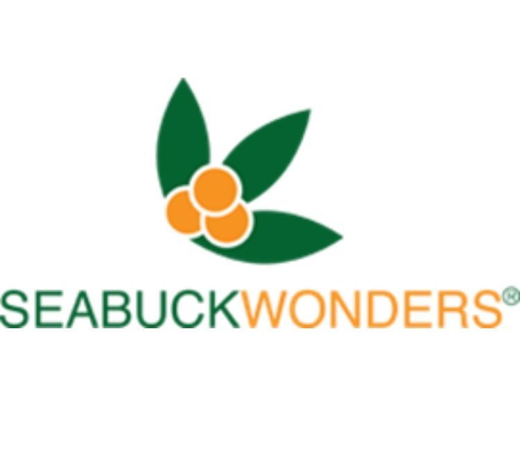 Seasick wonders logo