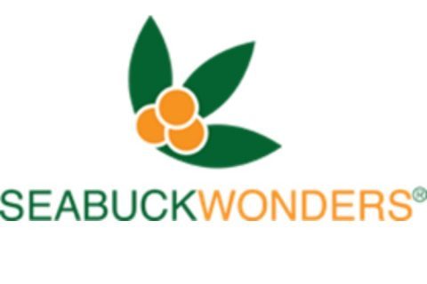 Seasick wonders logo