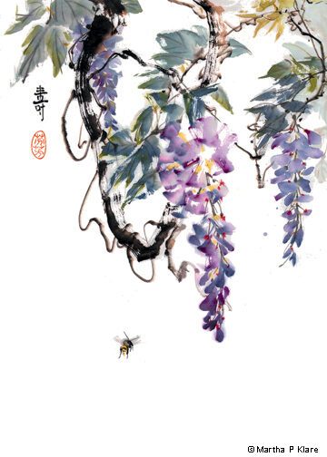 Flowers hanging from tree