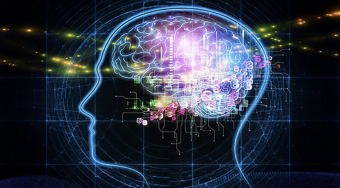 Blue digital head diagram with stricture of the brain in purple