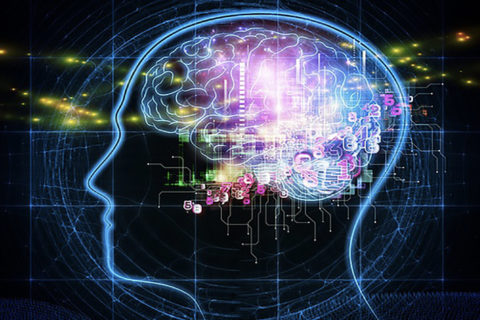 Blue digital head diagram with stricture of the brain in purple