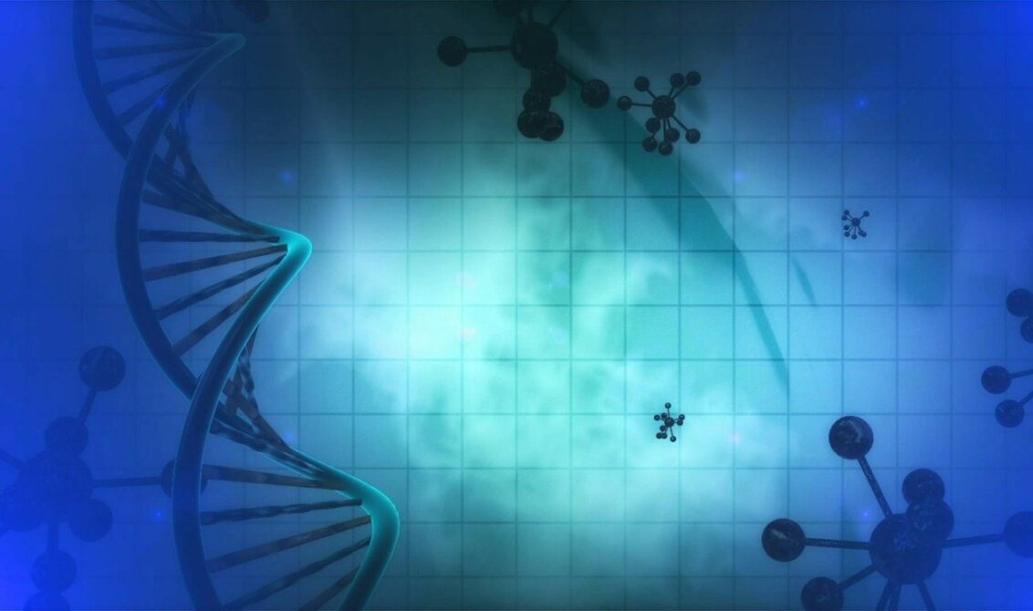 extracellular matrix cells