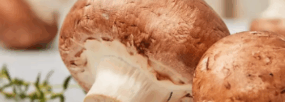 Screenshot-2025-05-01-154727-556x199.png
