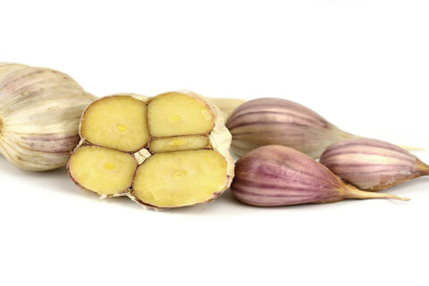 garlic cloves